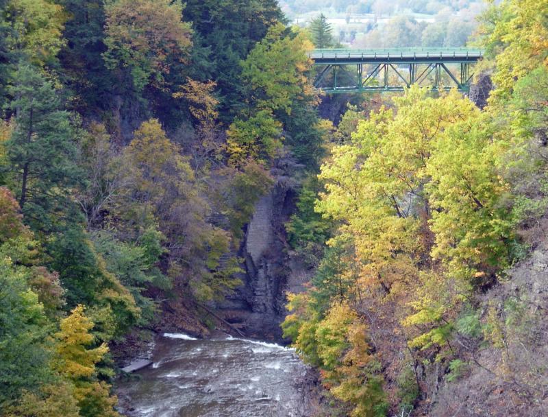 The Stewart Avenue Bridge, over Fall Creek.