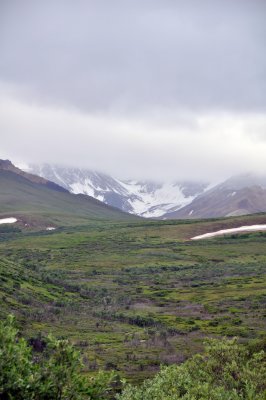 1233.jpg