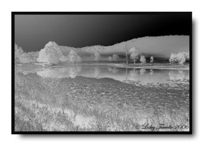GlenEchoReflection Negative.jpg