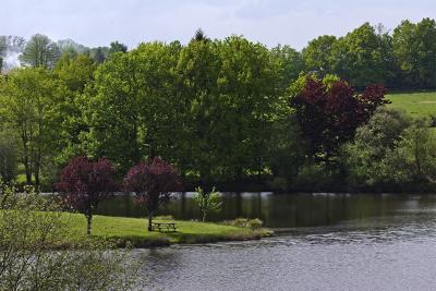 Thourons pond (Limousin)