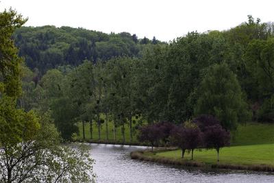Thourons pond (Limousin)
