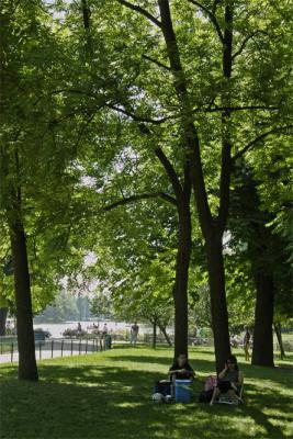 Bois de Vincennes