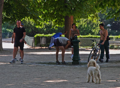 Bois de Vincennes