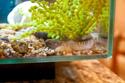 20120321-JOE_4000.jpg