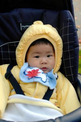 Baby with maple leaf