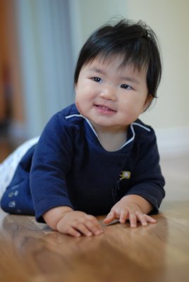 Little Crawler