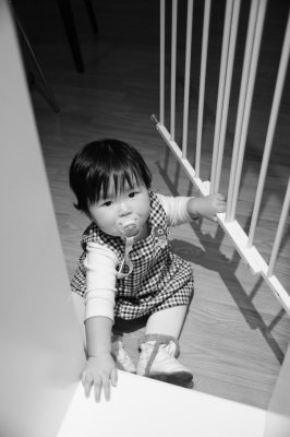 Stair Climber 1