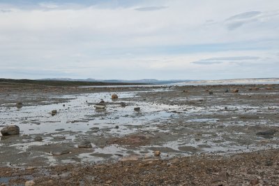 Low tide