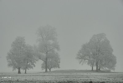 g4/67/546967/3/90621718.16igPw3H.jpg