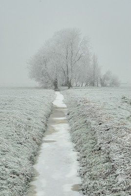 g4/67/546967/3/90621790.30QvvK98.jpg