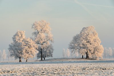g4/67/546967/3/90643042.VINtPlkB.jpg