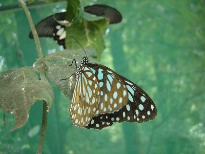 DSC03613001.jpg