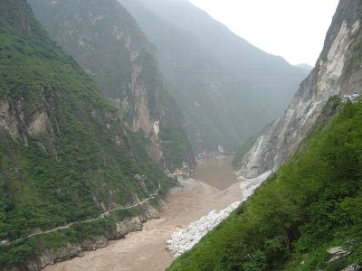 Tiger Jumping Canyon