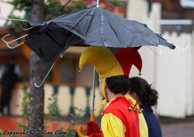 Jesters umbrella!