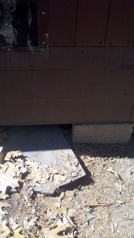 2011-03-26_12-33-56_631.jpg