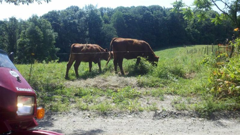 2011-07-16_10-31-07_37 (Small).jpg