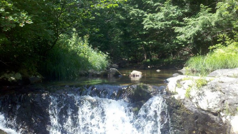 2011-07-16_10-40-12_406 (Small).jpg
