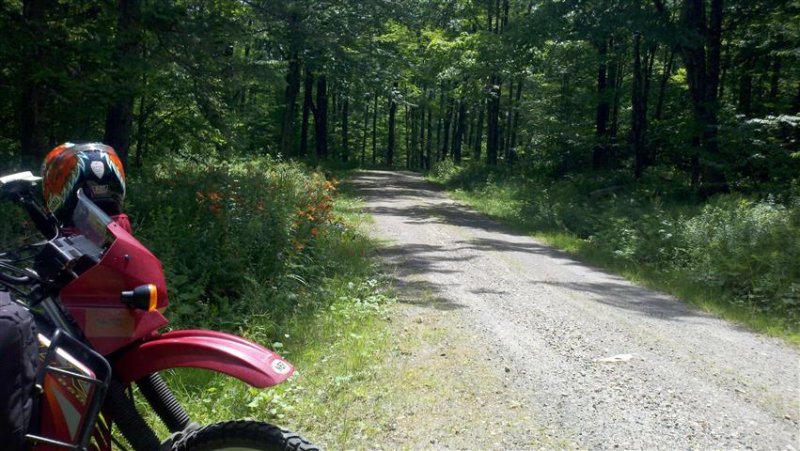 2011-07-16_11-48-19_215 (Small).jpg