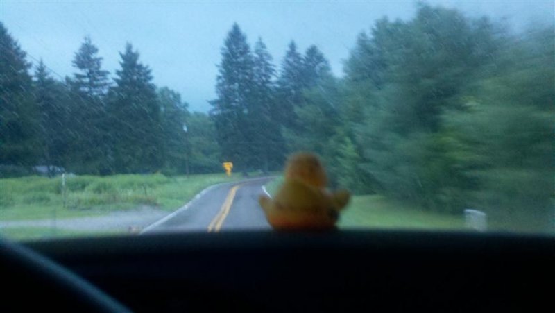 2011-08-07_06-38-35_991 (Small).jpg