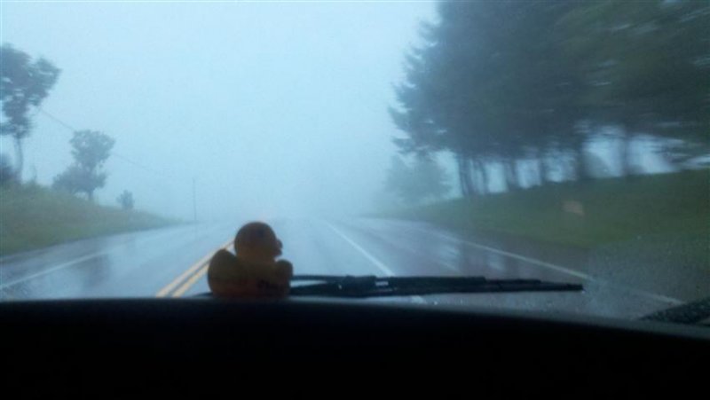 2011-08-07_06-56-03_386 (Small).jpg