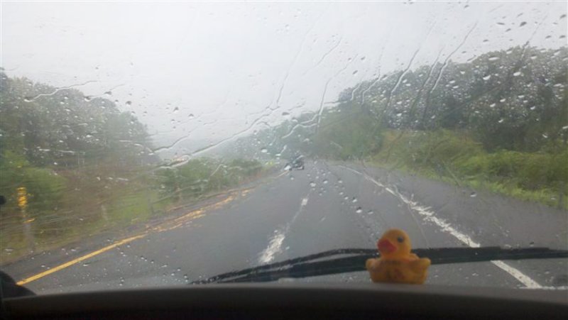 2011-08-07_16-39-17_709 (Small).jpg