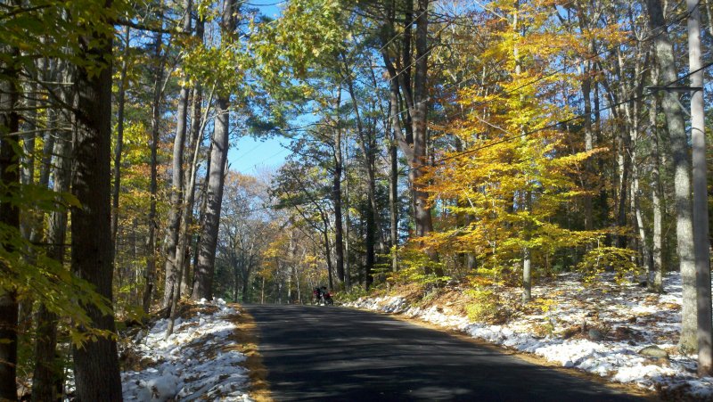 2011-11-02_11-29-58_678.jpg