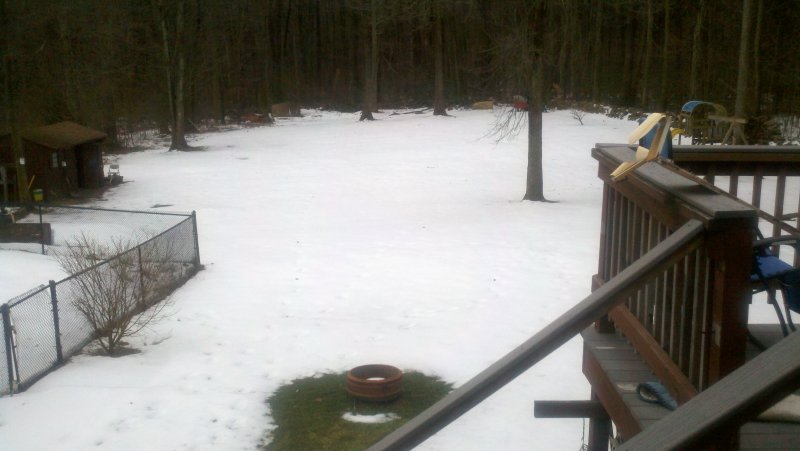 2012-01-31 08:09