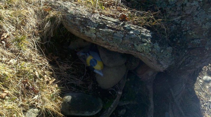 2012-03-07_10-46-30_184 (Small).jpg