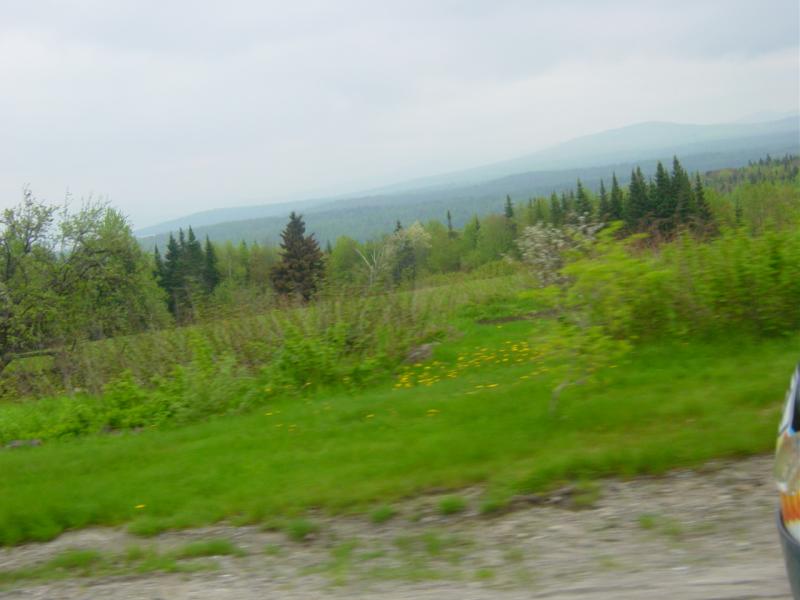 DSC02390.JPG