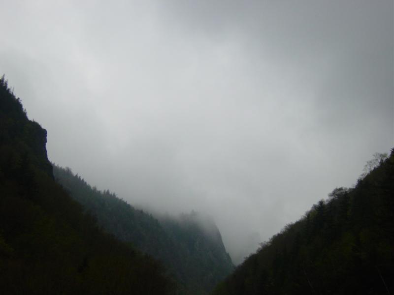 DSC02393.JPG