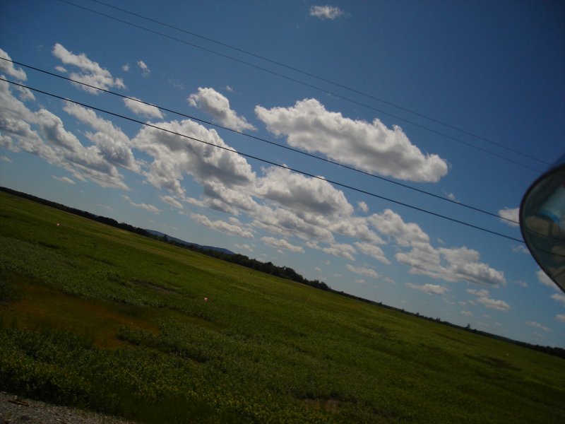 DSC00172.JPG