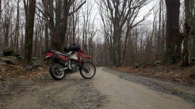 2011-04-23_15-13-18_742.jpg