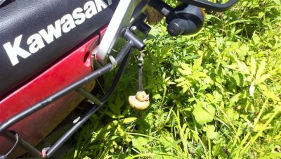 2011-07-16_11-49-02_809 (Small).jpg