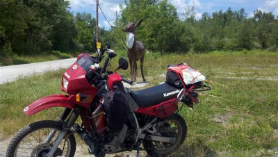 2011-07-16_13-34-16_501 (Small).jpg