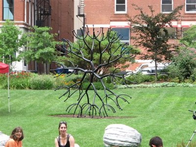 IMG_4885 (Small).JPG