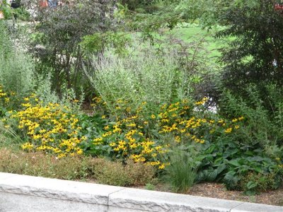 IMG_4881 (Small).JPG