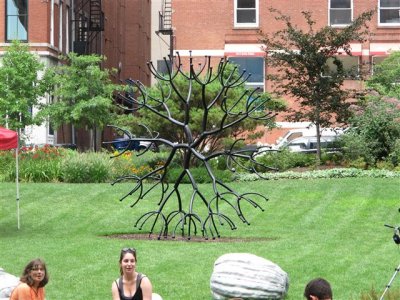 IMG_4885 (Small).JPG