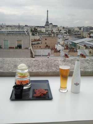 View from the Novotel terrace, Vaugirard, Paris