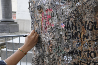 Signing a tree near Jim Morrison's grave, Pere Lachaise cemetery, Paris