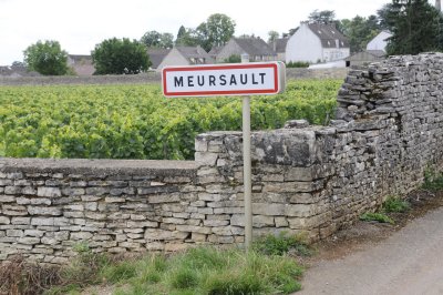 Entering the wine village of Meursault, France via bike.