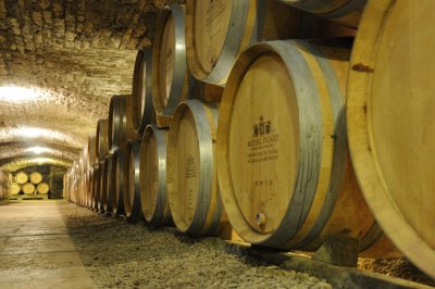 Oak barrels in a 13th century cave at the Chateau Chassenge Montrachet