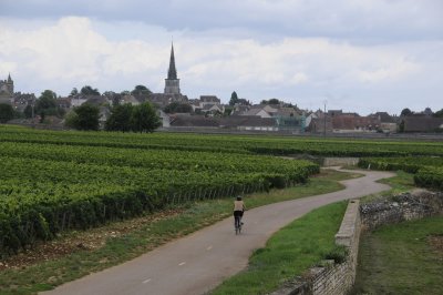 Approaching the village of Mersault, France, along the Voie Verte