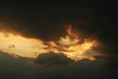 IMG_2151.jpg