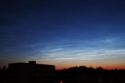 IMG_2534.jpg