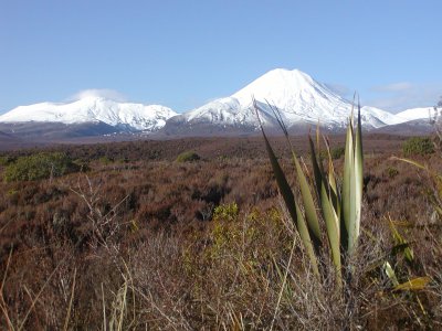 P7250116.JPG - The summits of Mt Tongariro and Mt Ngauruhoe