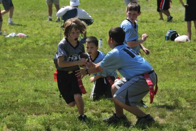 i9_sports_lions_
