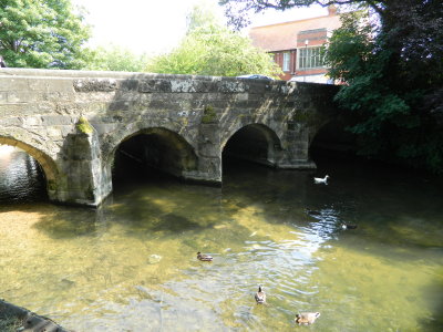 DSCN1339.JPG