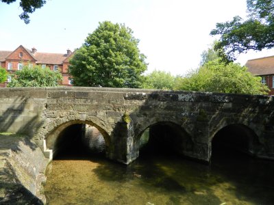DSCN1341.JPG