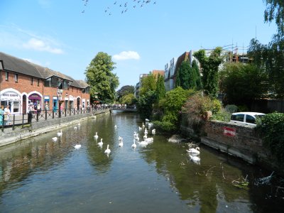 DSCN1345.JPG