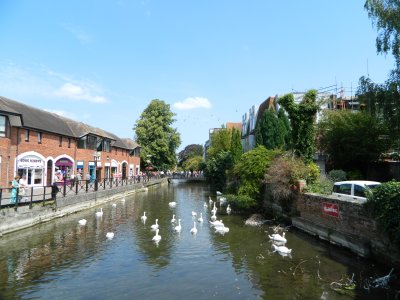 DSCN1346.JPG